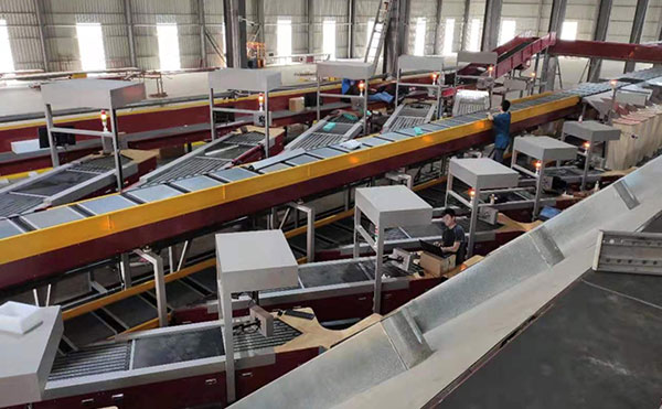 動(dòng)態(tài)DWS設(shè)備,快遞包裹分揀機(jī),DWS物流設(shè)備